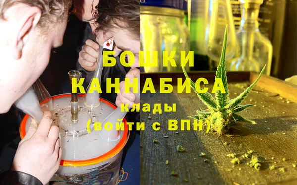ПСИЛОЦИБИНОВЫЕ ГРИБЫ Нязепетровск