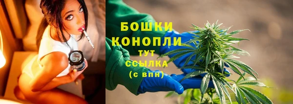 ПСИЛОЦИБИНОВЫЕ ГРИБЫ Нязепетровск