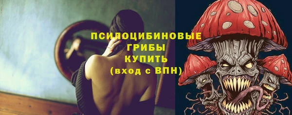 spice Нягань